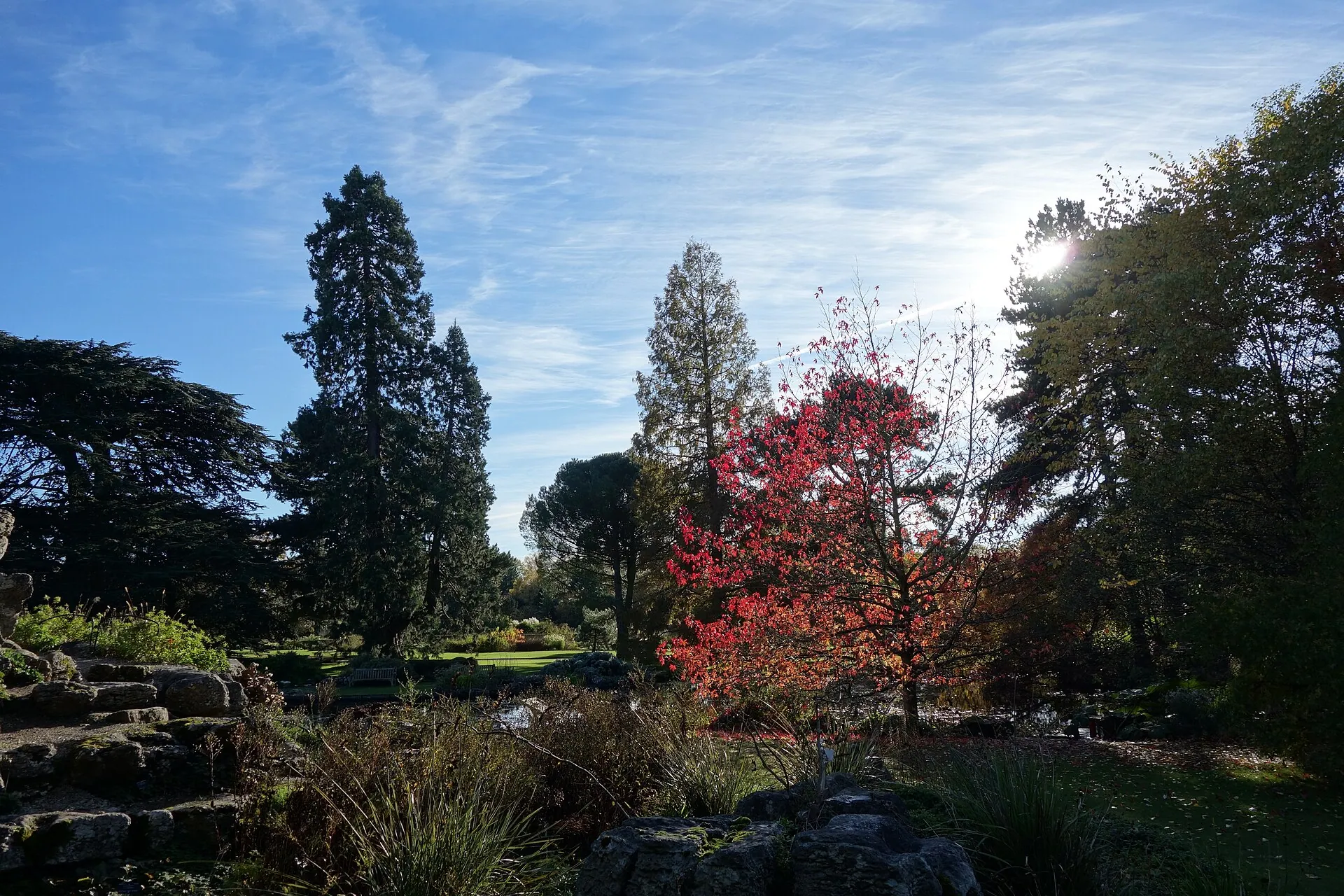 Planting, lawns and autumn colour at Cambridge University Botanic Garden, England